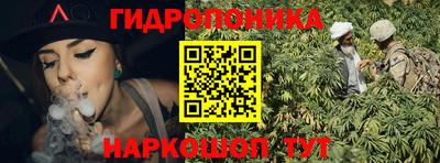 шишки Пушкино
